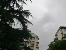 浦东世博·济阳三村·1室·1厅