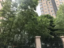 浦建727 1室2厅 南 北