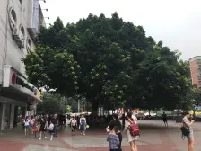 李家沱 都和广场三房45万