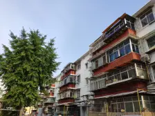 出行便利,楼层采光好 ,简装,老本