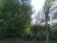无抵押 刚需上车 电梯房,新上房源