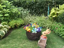 新建区心怡广场以北大平层阳光无挡诚意出售