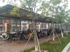 艾湖家园高楼层大三房 看湖景 钥匙在手