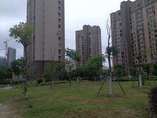 店长推荐电梯房好楼层近地铁医院菜场公园。