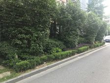 塘桥·融创浦建路727·1室·2厅