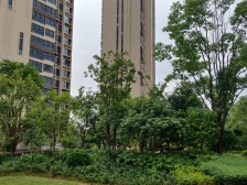 房东诚心卖 从南到北通透 户型方正 楼层好 视野宽阔