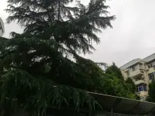 全明户型+东边套+品质小区+交通便利+采光刺眼