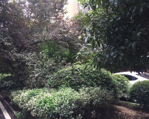 都市春天3室2厅南北