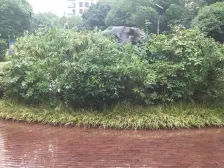 底复建筑面积近500平米,带地暖一梯一户,税费少,小区停车方