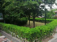 近地铁 电梯房 无抵押,家具全送,急售房源