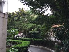 凉城·华东公寓·2室·1厅