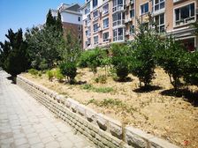 格致 两室 视野好 南北通透 房主诚心卖