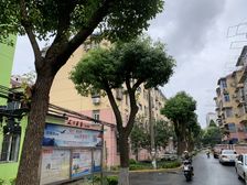 精装修的一房,看房方便,户型正气