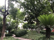 远景佳苑三期2室2厅南