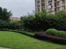 拉菲公馆 买一层得一层 毛坯复式 房东诚心出售