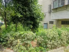 南门·天河花园·5室·3厅