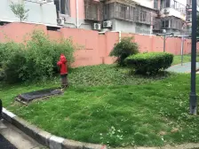 愿你有套顶楼复式,一层给父母,二层给爱情