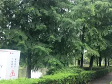 低总价,房间多,可塑性强,花园接近400来平