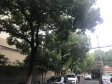 新上一房,楼栋位置好,看房方便