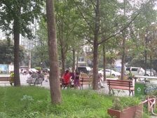 南尚国际 1室1厅 东