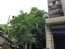 大悦城旁,低总价三房,精装修,业主诚意出售