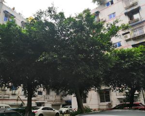 锦华苑(天府新区)3室1厅西