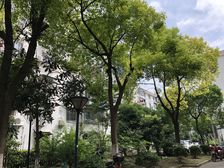 曹路·民风小区·1室·0厅