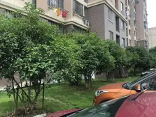 新上房源 小区中间位置三房 视野开阔 采光好