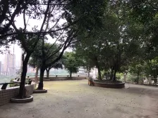 出门就是龙头寺公园。 双轻轨,户型方正,配套成熟