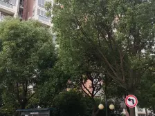 此房满五唯年,税费少。总价低。