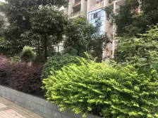 安心卖 拎包入住 看房提前联系 业主诚心