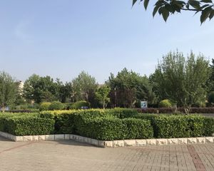 21小区2室1厅南北