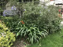 地铁口,南北通电梯三房,性价比好