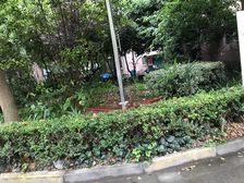 无抵押产权清晰精装,新上房源