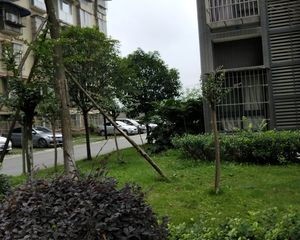 凤凰傲城3室2厅西东