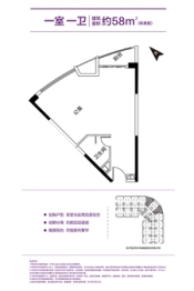 碧桂园·天钻建面58.00㎡