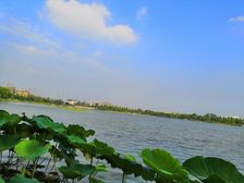 小区物业专业,绿化好,配套齐全