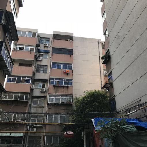 五彩小区3室1厅1卫南北朝向1100.00元/月出租