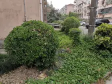 华高二村+马赛克+稍有飞机户型+南北通透+看房方便