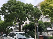 自住精装,总价低,置换房屋,看房方便