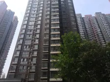 龙湖旁 双气大四房 送个车位 两梯三户 钥匙在手 随时看