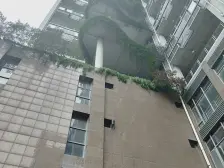 加州新牌坊 金城地豪三房