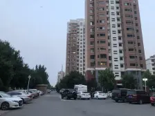 仁和园(津南区) 1室1厅 南