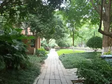 茶园新区 同景国际城I组团二房125万