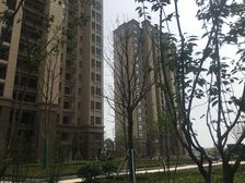 房型方正 中间楼层 视野开阔 采光好 大四房 置换好