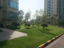 环境优美 绿地率占60%以上 小区 空气清晰适。