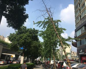 几米空间1室1厅南