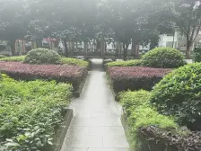 急售房,捡漏房,金城地豪 两房 欢迎直接来电