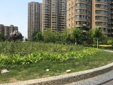 国茂·绿都皇城 3室2厅 南 北