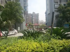 地铁口三号线 采光没有遮挡 户型方正 交通便利